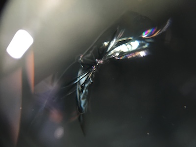 ミラ　フロントガラス　リペア　修理