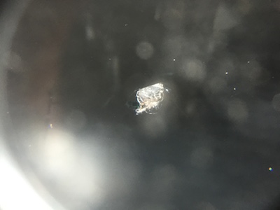 飛び石 隠れた 傷 修理