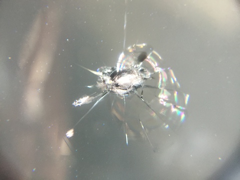 マーチ　フロントガラス　修理