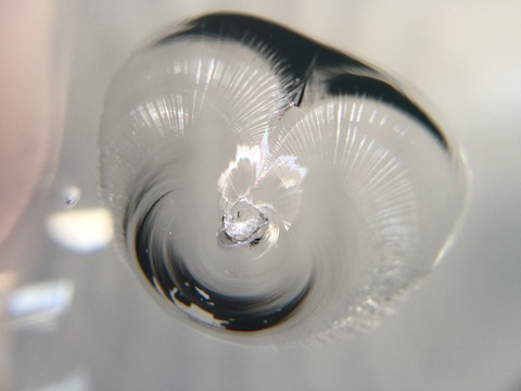 フロントガラス　飛び石　ウインドリペア