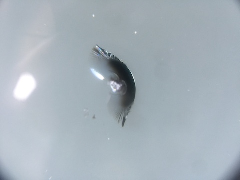 フロントガラス　飛び石　ウインドリペア