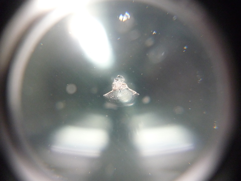 フロントガラス　飛び石　ウインドリペア