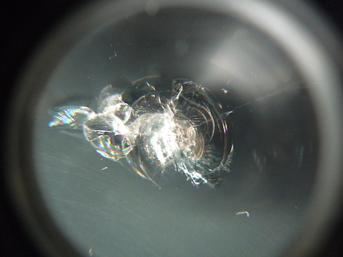 フロントガラス　飛び石　ウインドリペア