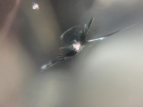 スイフト　フロントガラス　飛び石　修理　ウインドリペア