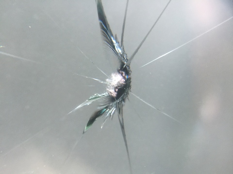 フロントガラス　飛び石　修理　ウインドリペア