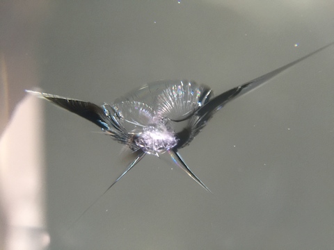 シャトル ハイブリッド フロントガラス 飛び石 修理