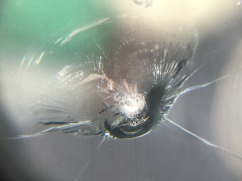 イスズ　エルフ　飛び石　修理　ウインドリペア