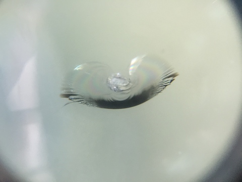 ヴォクシー　フロントガラス　飛び石　修理