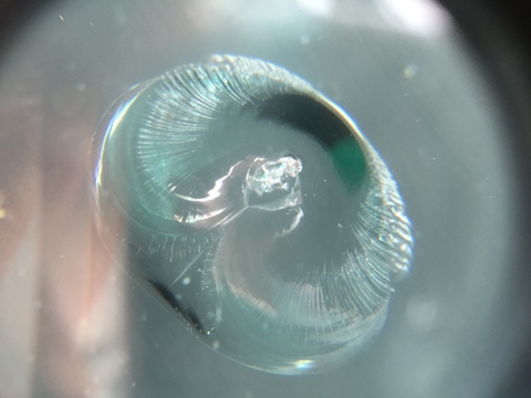 ラングラー　飛び石　修理　ウインドリペア