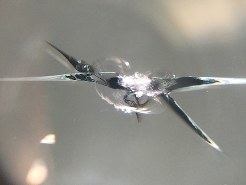 オデッセイ　フロントガラス　飛び石　修理　ウインドリペア