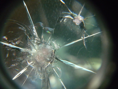 フロントガラス　飛び石　キズ　ウインドリペア