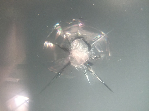 シエンタ　フロントガラス　飛び石　修理　ウインドリペア