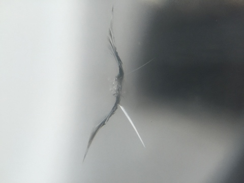 ミラ　フロントガラス　飛び石　修理　ウインドリペア