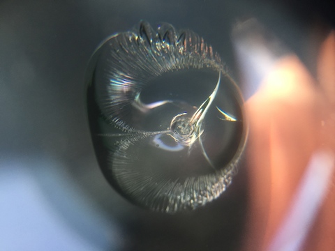 シエンタ　フロントガラス　飛び石　修理　ウインドリペア