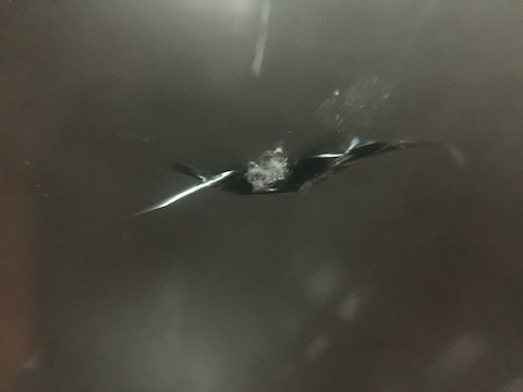 コペン　フロントガラス　飛び石　修理　ウインドリペア