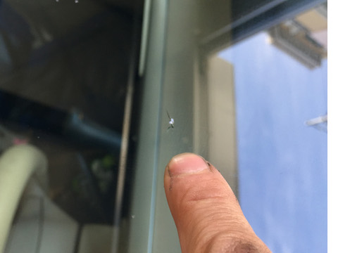 ポルテ　フロントガラス　飛び石　修理　ウインドリペア