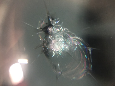 フロントガラス　飛び石　修理　ウインドリペア