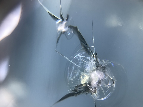 セレナ　飛び石　修理　フロントガラス　ウインドリペア