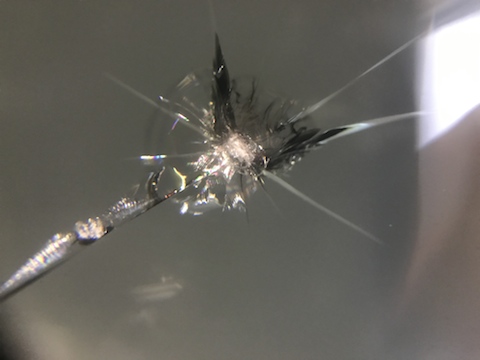 ジェイド　フロントガラス　飛び石　修理　ウインドリペア