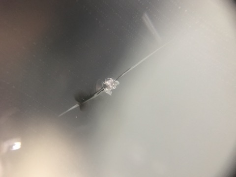 キューブ　フロントガラス　飛び石　修理　ウインドリペア