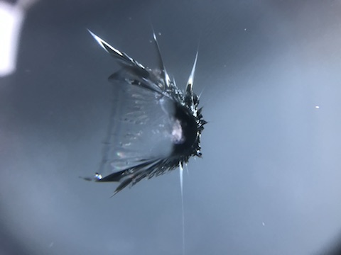 フロントガラス　飛び石　修理　ウインドリペア