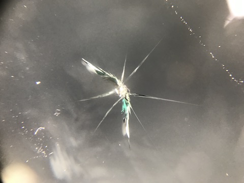 フォレスター　フロントガラス　飛び石　修理　ウインドリペア