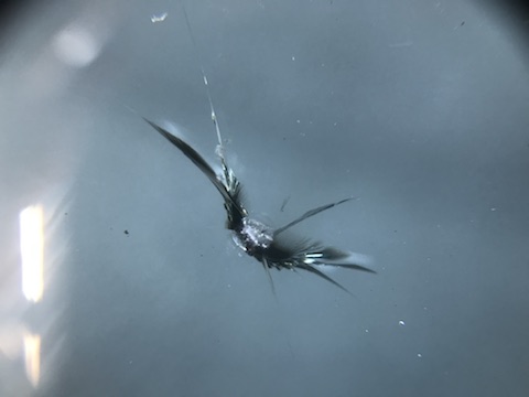 ハイエース　フロントガラス　飛び石　修理　ウインドリペア