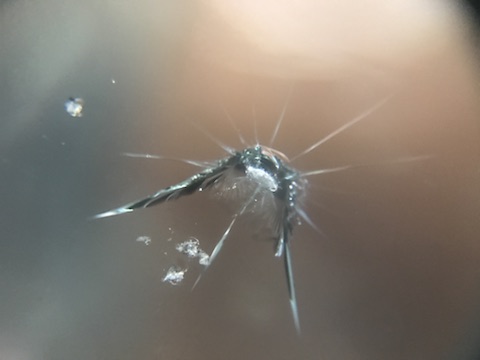 ワゴンR　フロントガラス　飛び石　修理　ウインドリペア