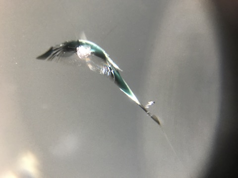 ハリアー　フロントガラス　飛び石　修理　ウインドリペア