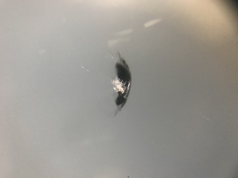 BMW 328i フロントガラス　飛び石　修理　ウインドリペア