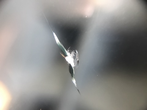 A8　フロントガラス　飛び石　修理