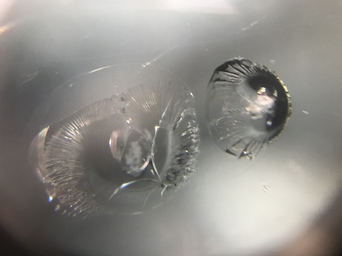 キャラバン　フロントガラス　飛び石　修理　ウインドリペア