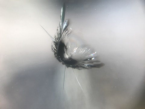 キャンピングカー　フロントガラス　飛び石　修理　ウインドリペア