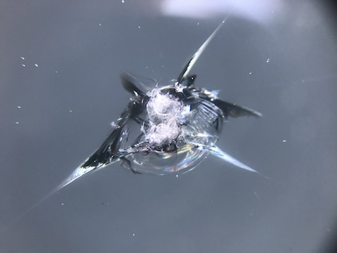 エスクワイア　フロントガラス　飛び石　修理　ウインドリペア