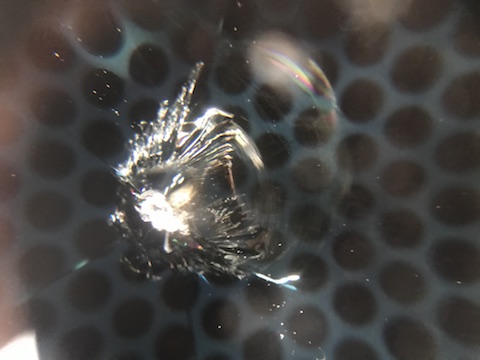 プリウスα　フロントガラス　飛び石　修理　ウインドリペア