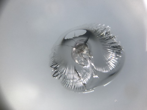 フロントガラス　飛び石　修理　ウインドリペア