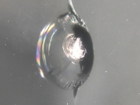 フロントガラス　飛び石　修理　ウインドリペア　ヴェルファイア