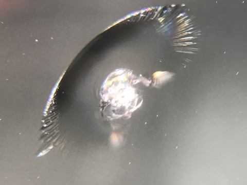 CX-5　フロントガラス　飛び石　修理　ウインドリペア