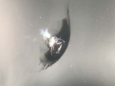 シエンタ　フロントガラス　飛び石　修理　ウインドリペア