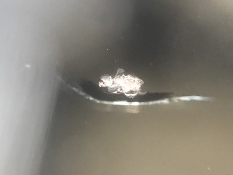 ジープ　コンパス　フロントガラス　飛び石　修理　ウインドリペア