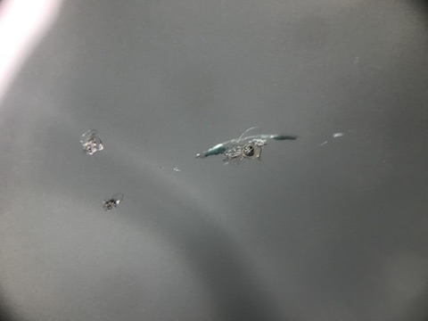 アウディ TT フロントガラス　飛び石　修理　ウインドリペア