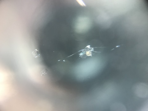 アウディ TT フロントガラス　飛び石　修理　ウインドリペア