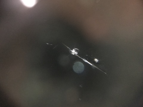 ヴェルファイア　フロントガラス　飛び石　修理　ウインドリペア