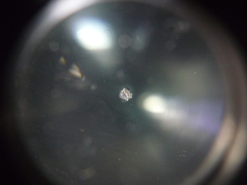 フロントガラス　飛び石　ウインドリペア