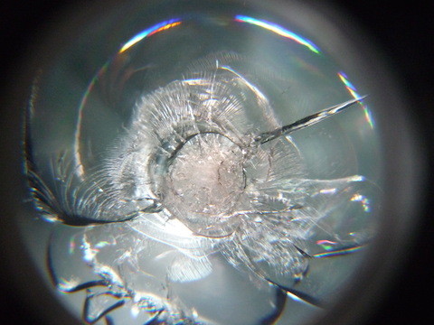 フロントガラス　飛び石　ウインドリペア