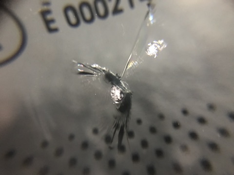 ゴルフ　フロントガラス　飛び石　修理　ウインドリペア