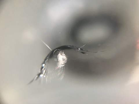 アルト　フロントガラス　飛び石　修理　ウインドリペア