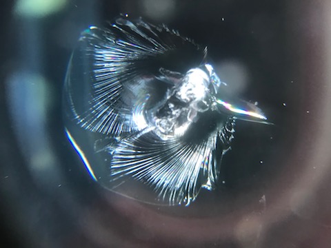 アバルト　595 フロントガラス　飛び石　修理　ウインドリペア