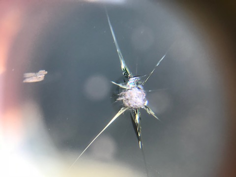 GTR 35 フロントガラス　飛び石　修理　ウインドリペア