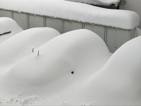 ルーフのヘコミ、板金しないで綺麗に直します！　